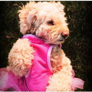 Meet your Posher, Tara